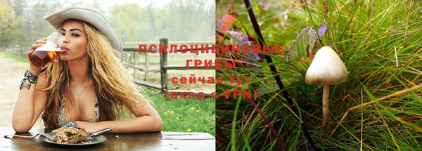 твердый Верея