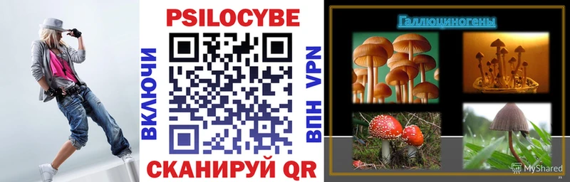 Галлюциногенные грибы GOLDEN TEACHER Мурманск