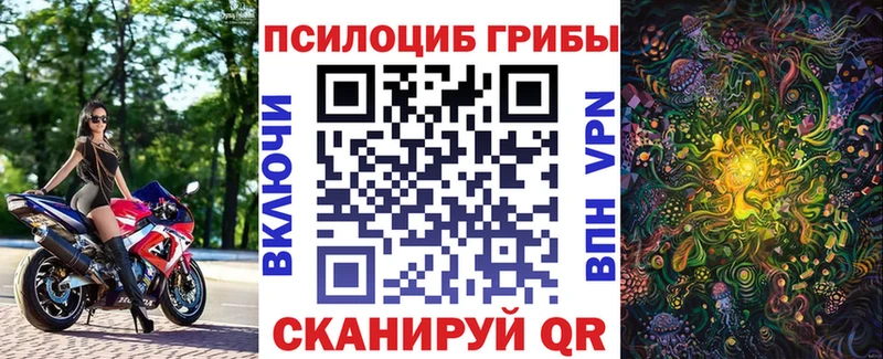 MEGA онион  Мурманск  Галлюциногенные грибы MAGIC MUSHROOMS 